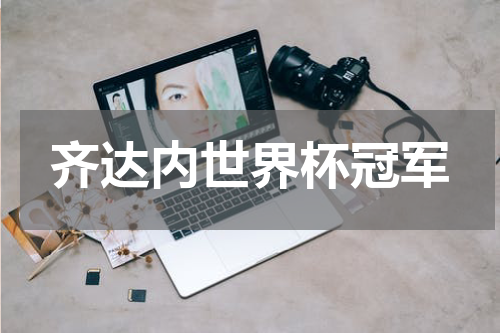 齐达内世界杯冠军