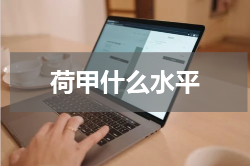 荷甲什么水平
