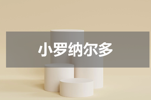 小罗纳尔多