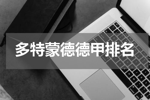 多特蒙德德甲排名