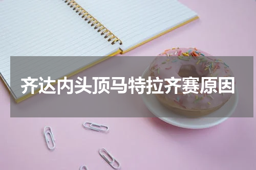齐达内头顶马特拉齐赛原因
