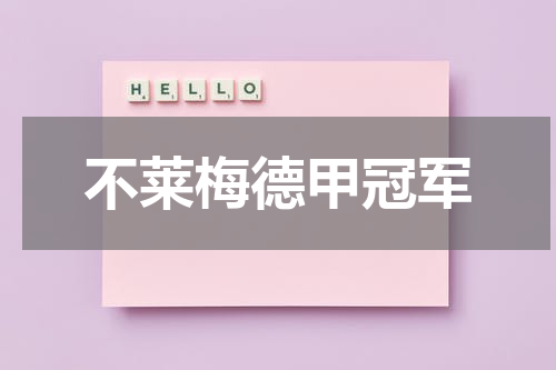 不莱梅德甲冠军