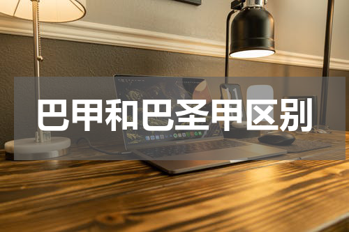 巴甲和巴圣甲区别