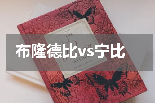 布隆德比vs宁比