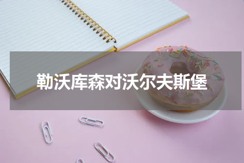勒沃库森对沃尔夫斯堡