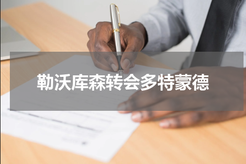 勒沃库森转会多特蒙德