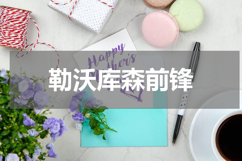 勒沃库森前锋