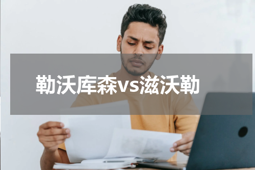 勒沃库森vs滋沃勒