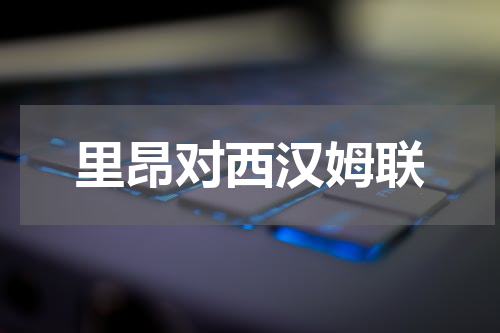 里昂对西汉姆联