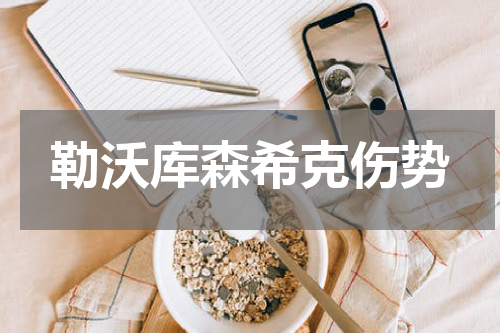 勒沃库森希克伤势