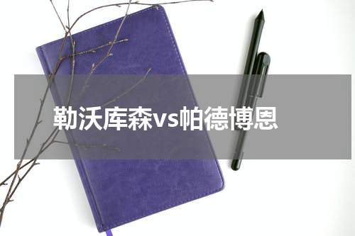 勒沃库森vs帕德博恩