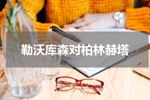 勒沃库森对柏林赫塔