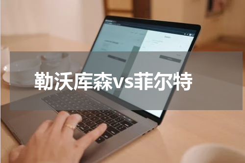 勒沃库森vs菲尔特