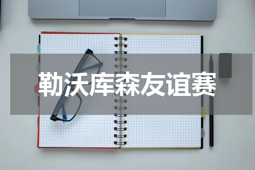勒沃库森友谊赛