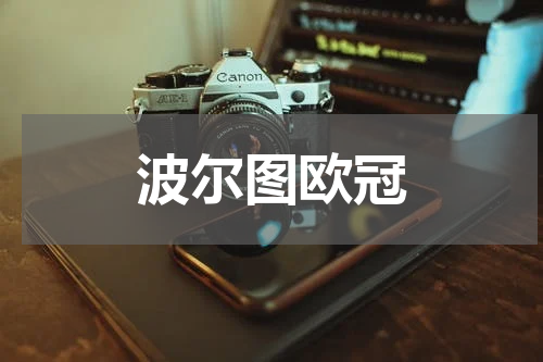 波尔图欧冠