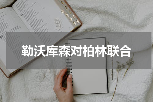 勒沃库森对柏林联合