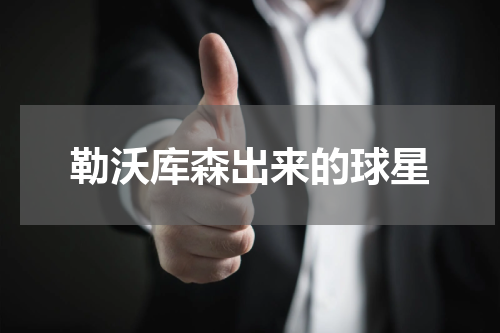 勒沃库森出来的球星