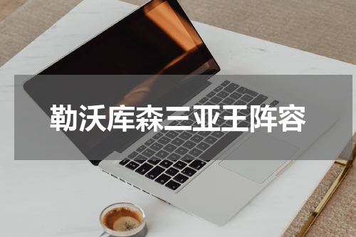勒沃库森三亚王阵容