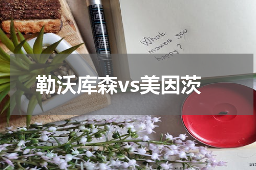勒沃库森vs美因茨