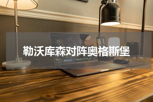 勒沃库森对阵奥格斯堡