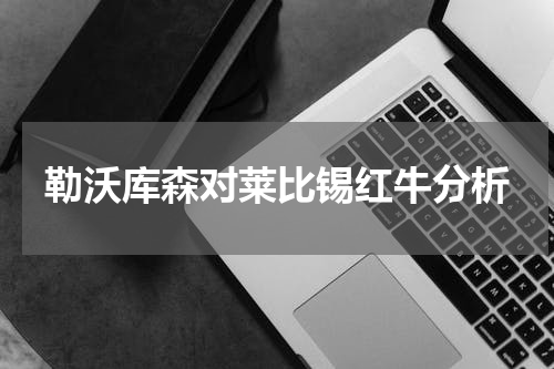 勒沃库森对莱比锡红牛分析