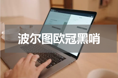 波尔图欧冠黑哨