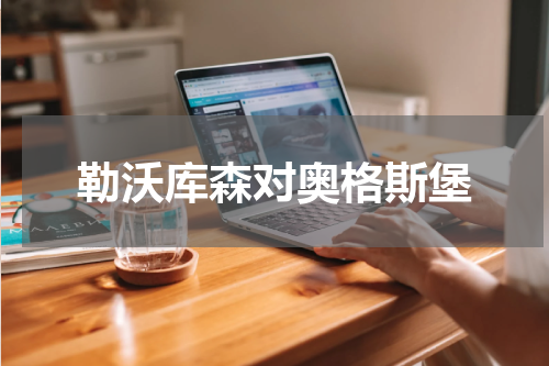 勒沃库森对奥格斯堡