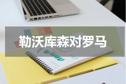 勒沃库森对罗马