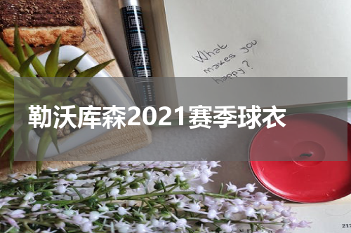 勒沃库森2021赛季球衣