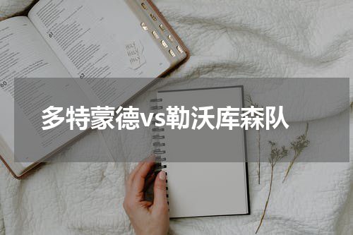 多特蒙德vs勒沃库森队
