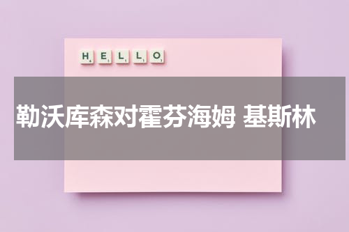 勒沃库森对霍芬海姆 基斯林
