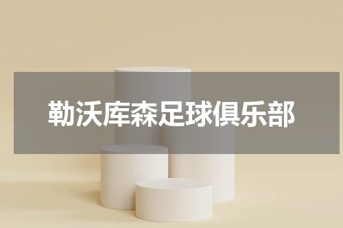 勒沃库森足球俱乐部