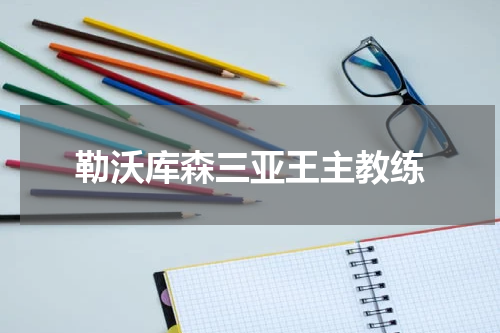 勒沃库森三亚王主教练
