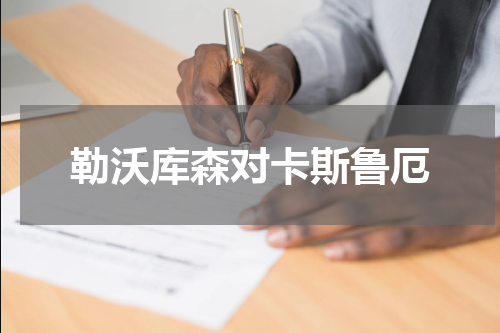 勒沃库森对卡斯鲁厄