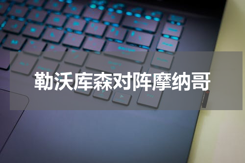 勒沃库森对阵摩纳哥