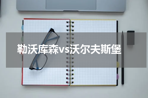 勒沃库森vs沃尔夫斯堡