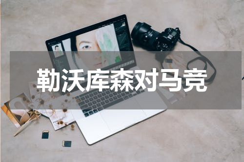 勒沃库森对马竞