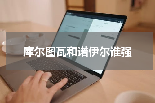库尔图瓦和诺伊尔谁强