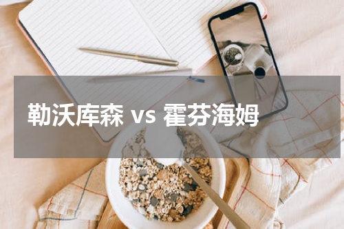 勒沃库森 vs 霍芬海姆
