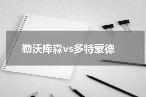 勒沃库森vs多特蒙德