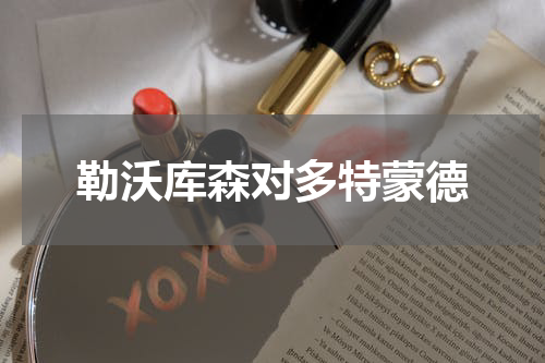 勒沃库森对多特蒙德