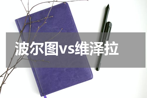 波尔图vs维泽拉