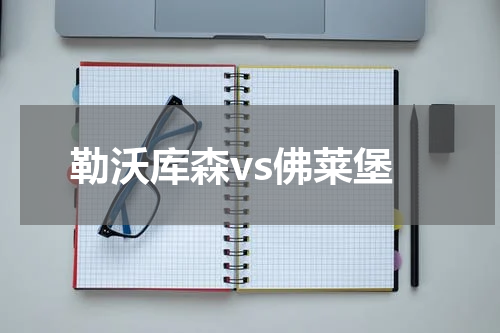 勒沃库森vs佛莱堡