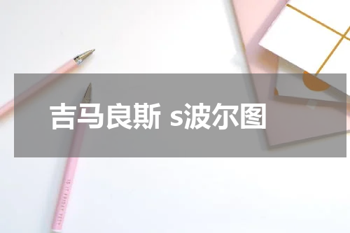 吉马良斯 s波尔图