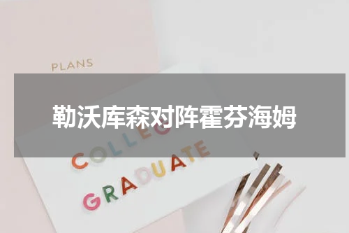 勒沃库森对阵霍芬海姆