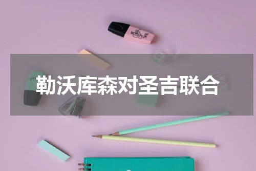 勒沃库森对圣吉联合