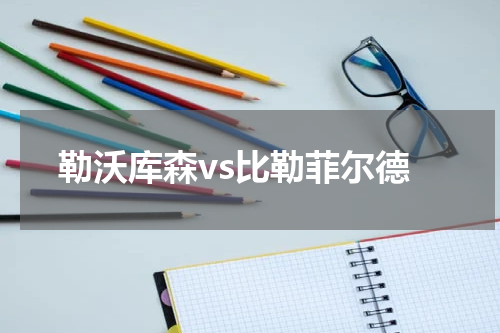 勒沃库森vs比勒菲尔德