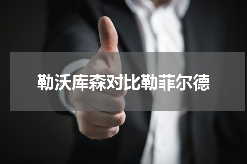 勒沃库森对比勒菲尔德