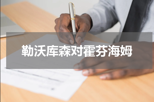勒沃库森对霍芬海姆