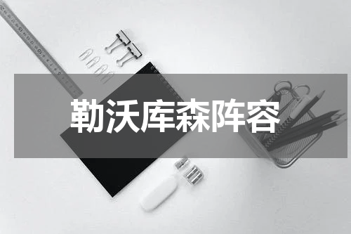勒沃库森阵容